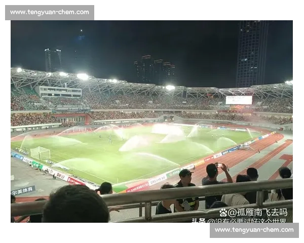 盐城主场 2-0 力克镇江！31833 名球迷见证苏超榜首之争