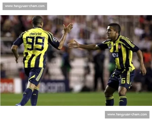 费内巴切接近签下杜兰！利雅得胜利放行，租借费 500 万 + 年薪 2000 万创纪录