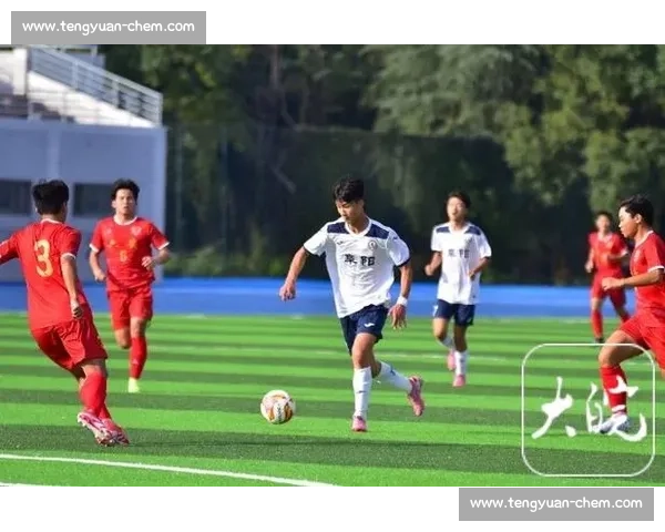 少年徽青赛燃情开赛 亳州小将首战大捷勇夺季军