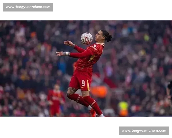 罗伯逊未来未定！利物浦左后卫将与俱乐部展开关键会谈，马竞拜仁虎视眈眈